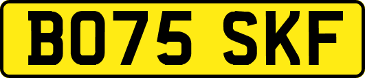 BO75SKF
