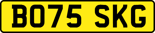 BO75SKG