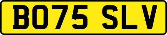 BO75SLV