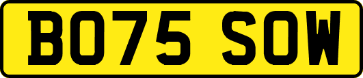 BO75SOW