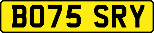 BO75SRY