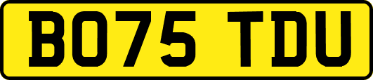 BO75TDU