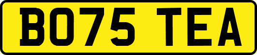 BO75TEA