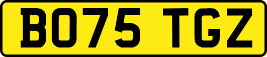BO75TGZ