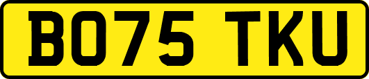 BO75TKU