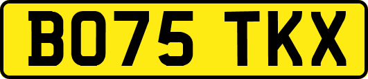 BO75TKX
