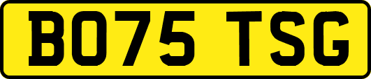 BO75TSG