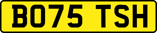 BO75TSH