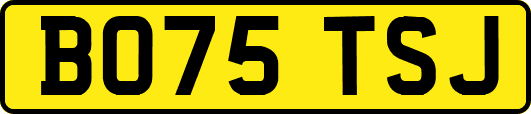 BO75TSJ