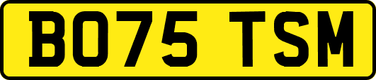 BO75TSM