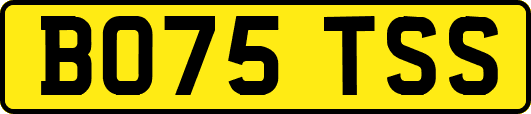 BO75TSS