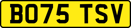 BO75TSV