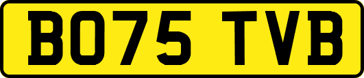 BO75TVB