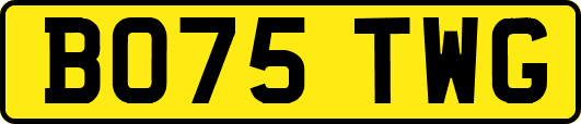 BO75TWG