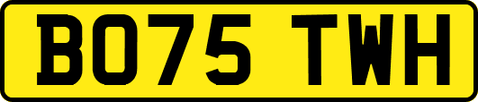 BO75TWH