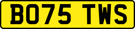 BO75TWS