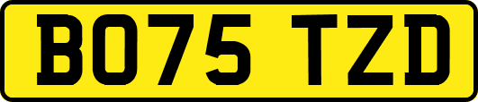 BO75TZD