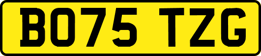 BO75TZG