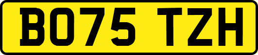 BO75TZH