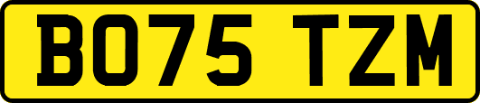 BO75TZM