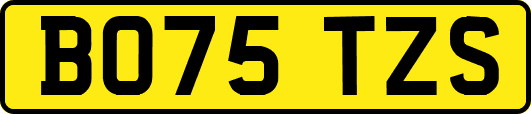 BO75TZS