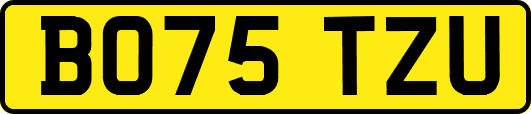 BO75TZU
