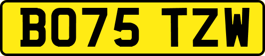 BO75TZW