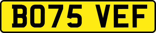 BO75VEF