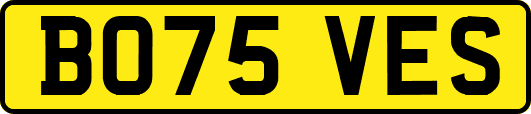 BO75VES