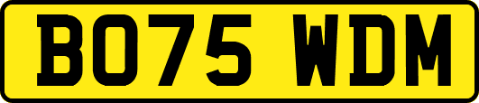 BO75WDM