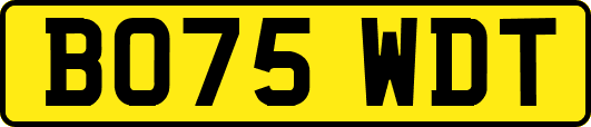 BO75WDT
