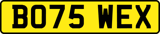 BO75WEX