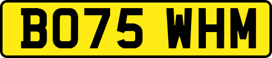 BO75WHM
