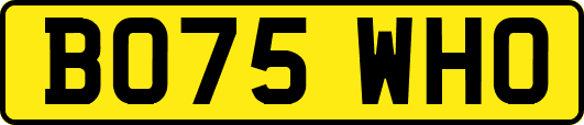 BO75WHO