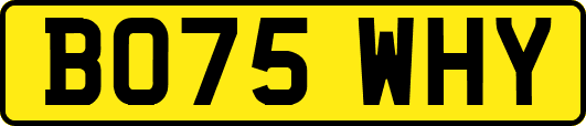 BO75WHY