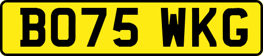 BO75WKG