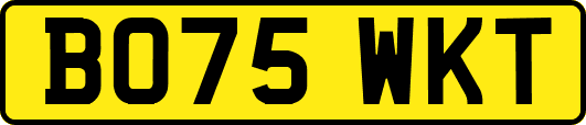BO75WKT
