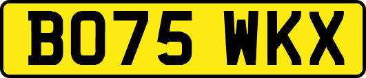 BO75WKX
