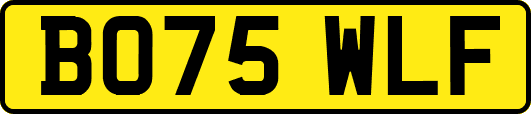 BO75WLF