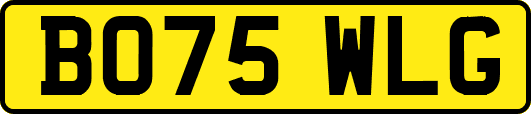 BO75WLG
