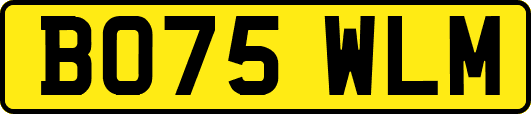 BO75WLM
