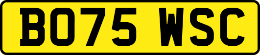 BO75WSC