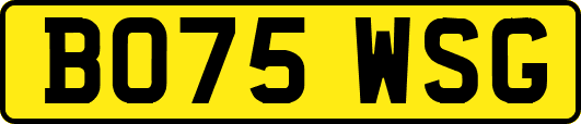 BO75WSG