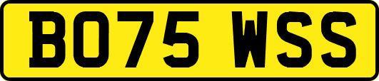 BO75WSS