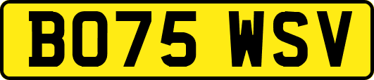 BO75WSV