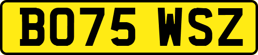 BO75WSZ
