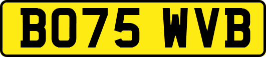 BO75WVB