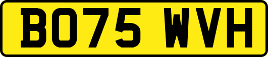 BO75WVH