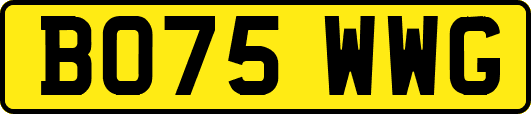 BO75WWG