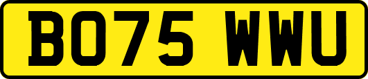 BO75WWU